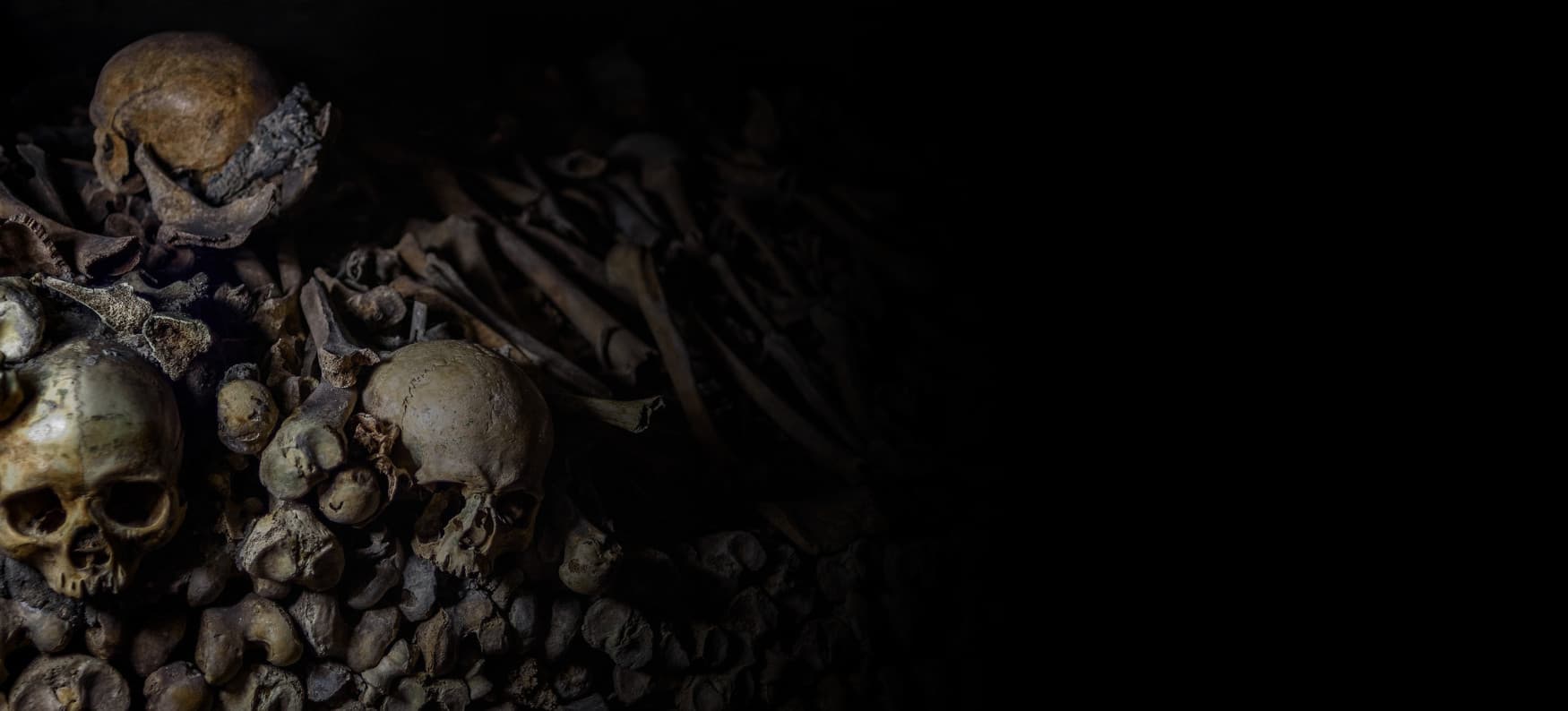 La Crypte (Salle 2)
